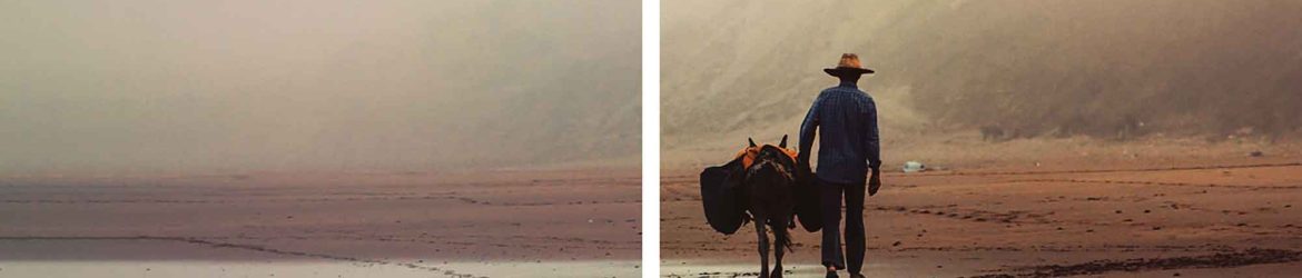 43 Free Film-Inspired Photoshop Actions