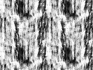 5 Free Seamless Dirt Textures (JPG)