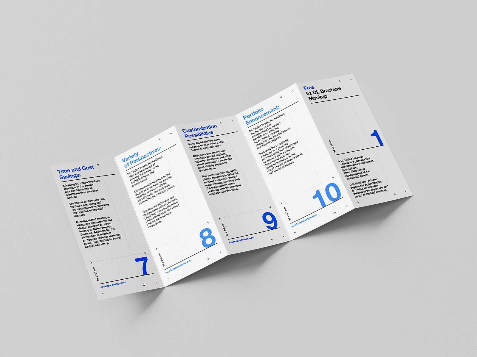 5xDL flyer mockup