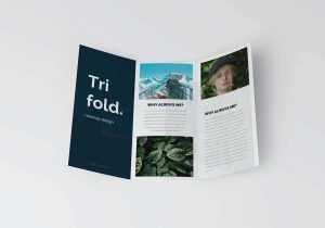 8 Trifold Brochure Mockups (PSD)