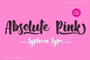 Absolute Pink Script Font