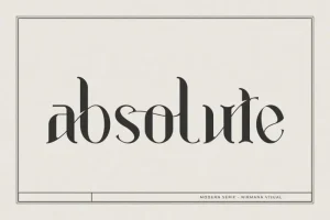 Absolute Serif Font