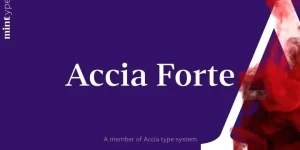 Accia Forte Font