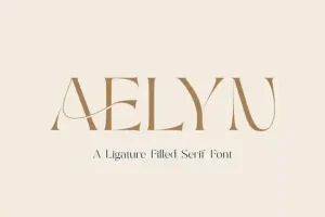 Aelyn Serif Font