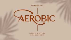 Aerobic Font › Fontesk
