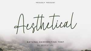 Aesthetical Font › Fontesk