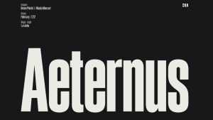 Aeternus Font › Fontesk