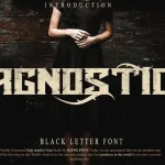 Agnostic Display Font