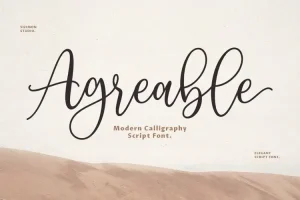 Agreable Script Font