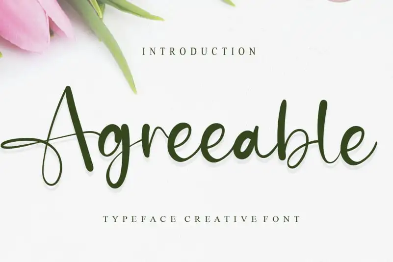 Agreeable Calligraphy Font