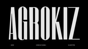 Agrokiz Font › Fontesk