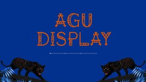Agu Display Font › Fontesk