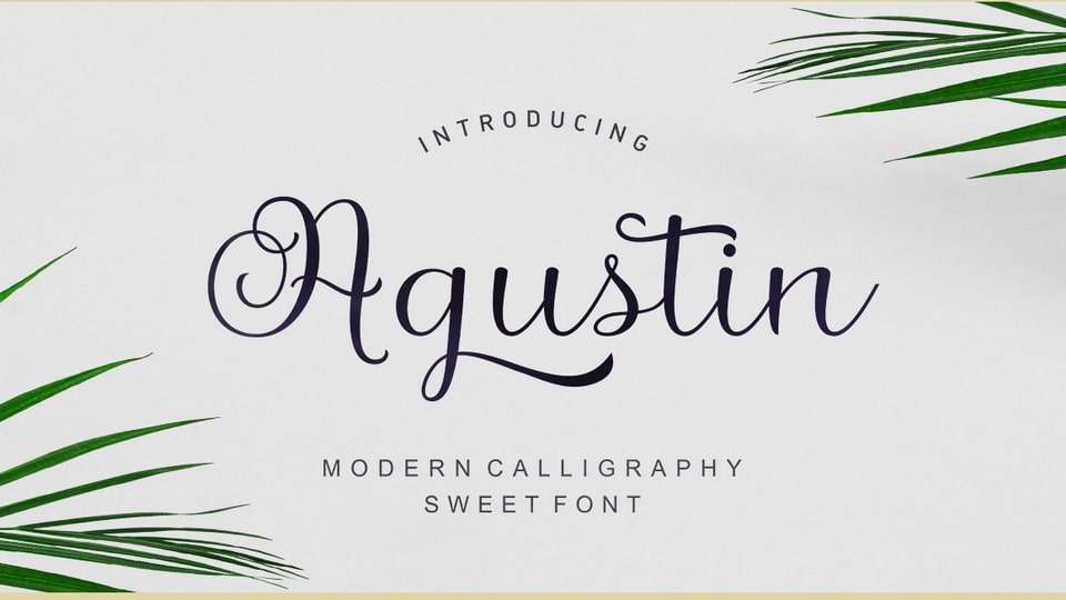 Agustin Script Font › Fontesk