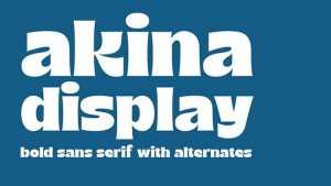 Akina Font › Fontesk