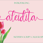 Aleidita Script Font