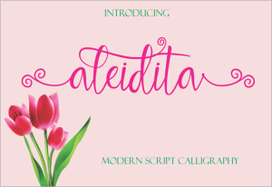Aleidita Script Font