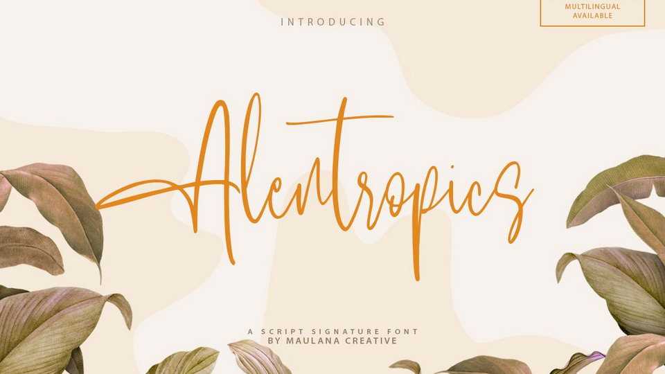 Alentropics Script Font › Fontesk