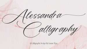 Alessandra Font › Fontesk