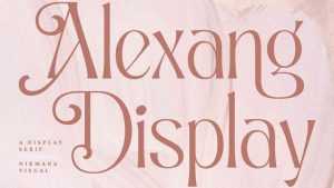 Alexang Display Font › Fontesk