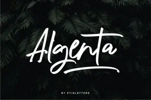 Algenta Script Font