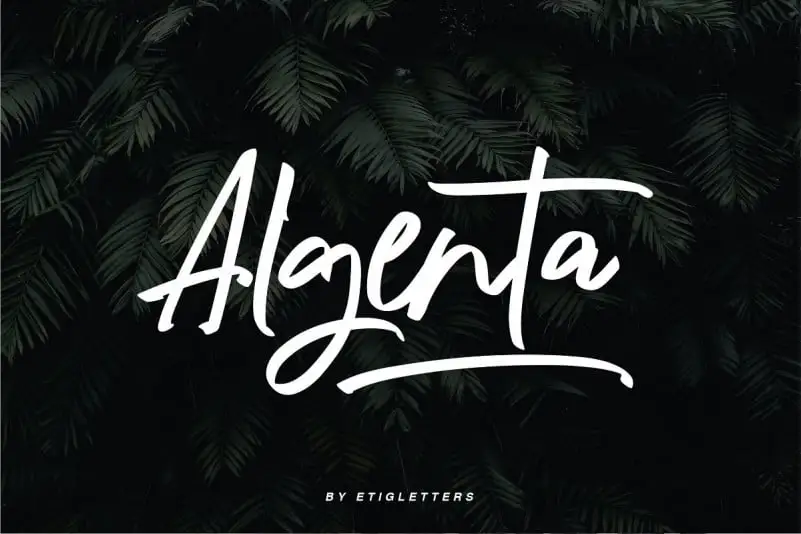 Algenta Script Font