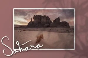 Algeria Script Font