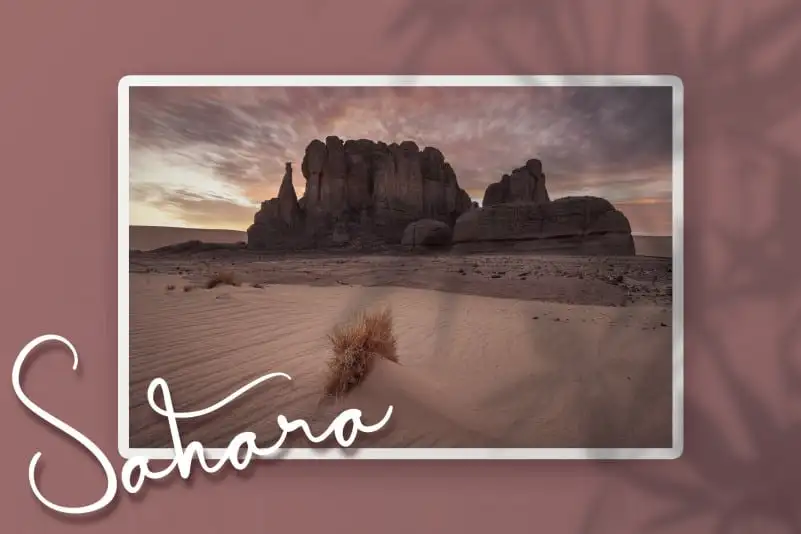 Algeria Script Font