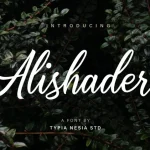 Alishader Script Font