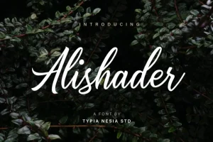 Alishader Script Font