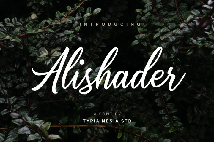 Alishader Script Font