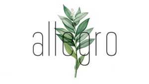 Allegro Font › Fontesk