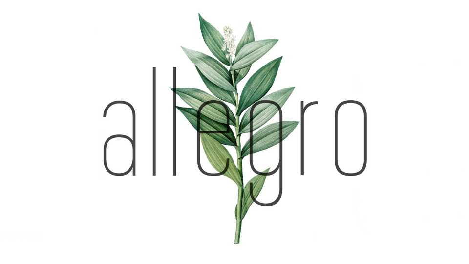 Allegro Font › Fontesk