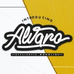 Alvaro Stylistic Monoline Font