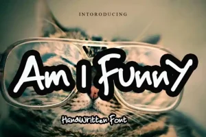 Am I Funny Display Font