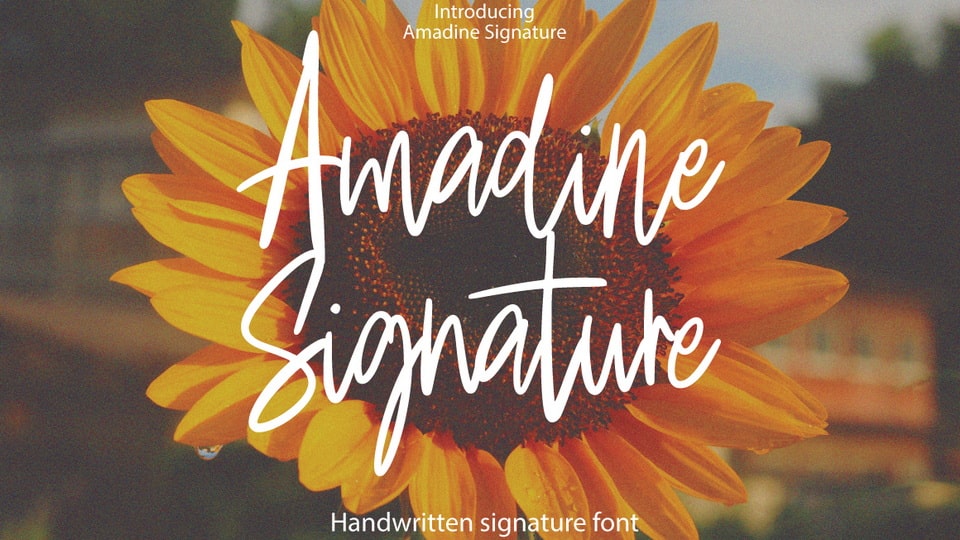 Amadine Signature Font › Fontesk