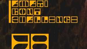 Amari Font 38/100 › Fontesk