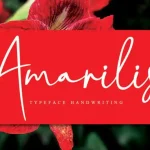 Amarilis Script Font