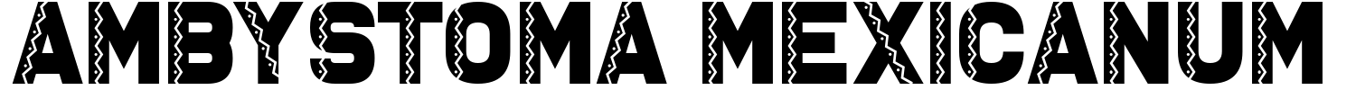 Ambystoma Mexicanum Font
