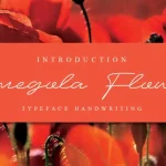 Amegola Flower Handwritten Font
