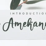 Amekanu Script Font