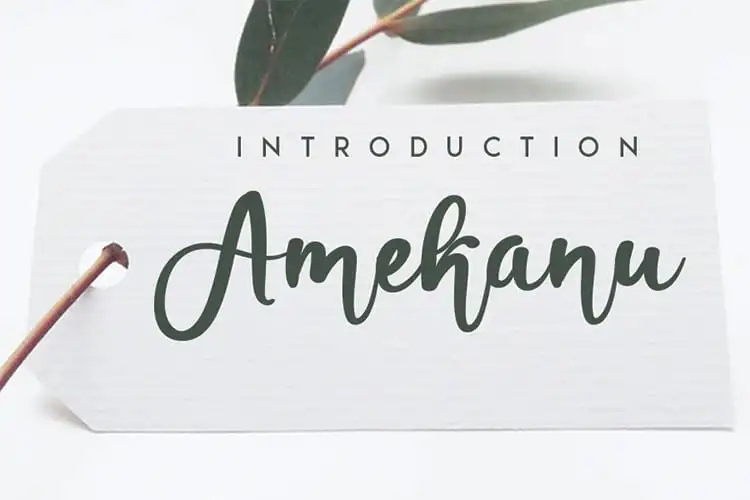 Amekanu Script Font