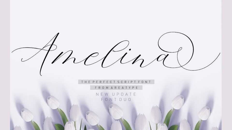 Amelina Script Font › Fontesk