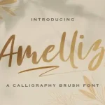 Amelliz Brush Font