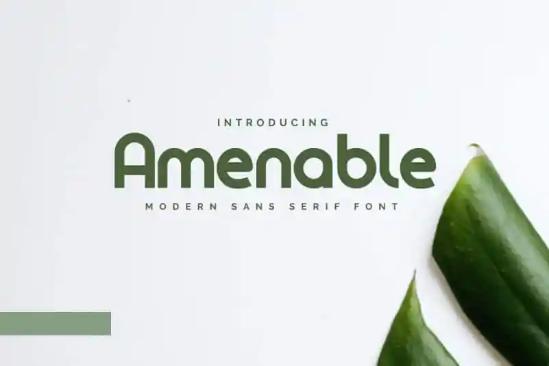 Amenable Sans Serif Font