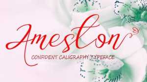 Ameston Font › Fontesk
