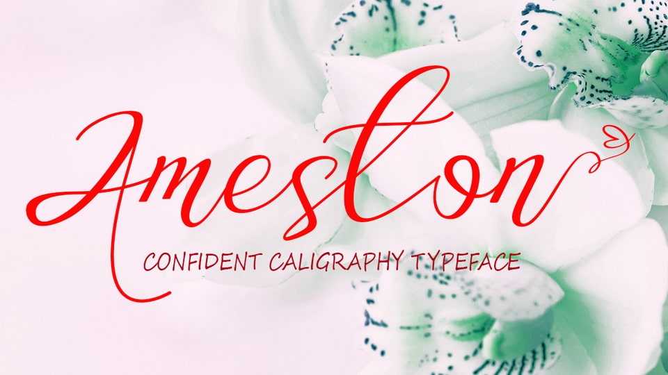Ameston Font › Fontesk