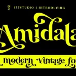 Amidala Serif Font