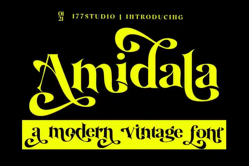 Amidala Serif Font