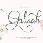 Aminarthie Calligraphy Font