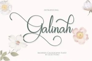 Aminarthie Calligraphy Font